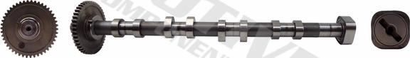 MOTIVE T2131 - Camshaft car-mod.net