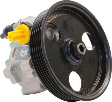 Motorherz P1689HG - Hydraulic Pump, steering system car-mod.net