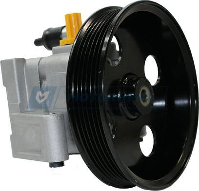 Motorherz P1318HG - Hydraulic Pump, steering system car-mod.net