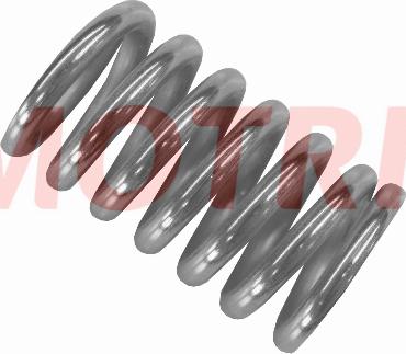MOTRIO 8550503771 - Spring, exhaust pipe car-mod.net