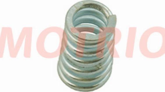 MOTRIO 8660000038 - Spring, exhaust pipe car-mod.net