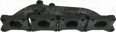 NAP CPL25210 - Manifold, exhaust system car-mod.net