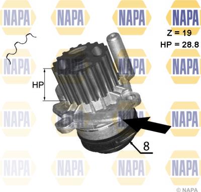 NAPA NWP1045 - Water Pump car-mod.net