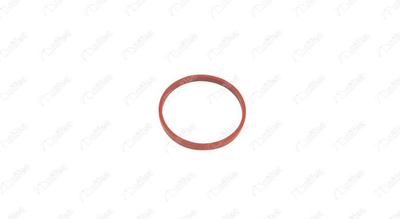 NIFEA 17073 - Gasket, intake manifold car-mod.net