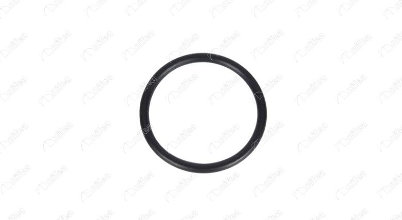NIFEA 33803 - Seal Ring, coolant tube car-mod.net