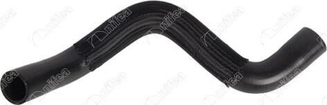 NIFEA 25021 - Radiator Hose car-mod.net