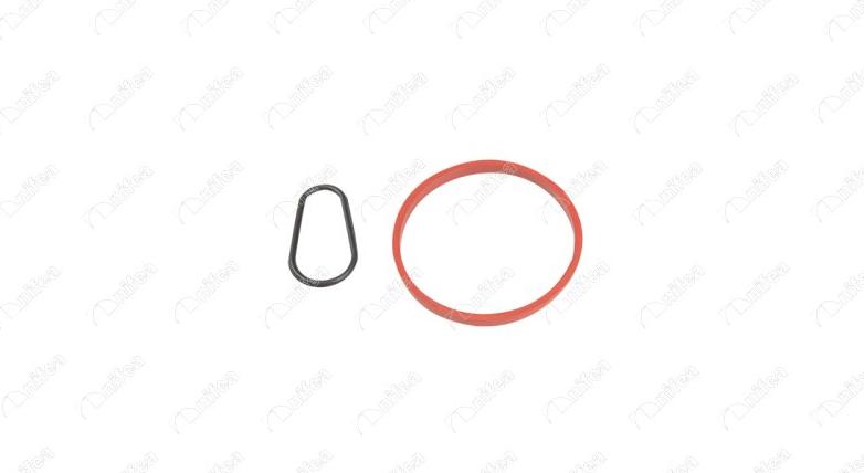 NIFEA 20068 - Gasket, vacuum pump car-mod.net