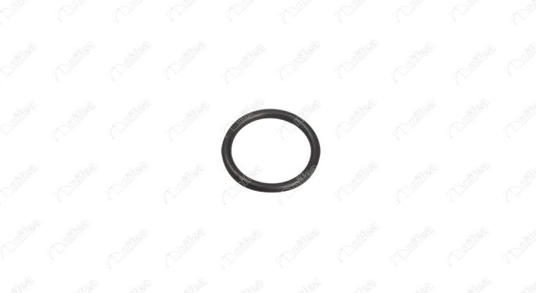 NIFEA 20082 - Seal, coolant pipe car-mod.net