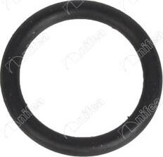 NIFEA 28067 - Seal, coolant tube car-mod.net
