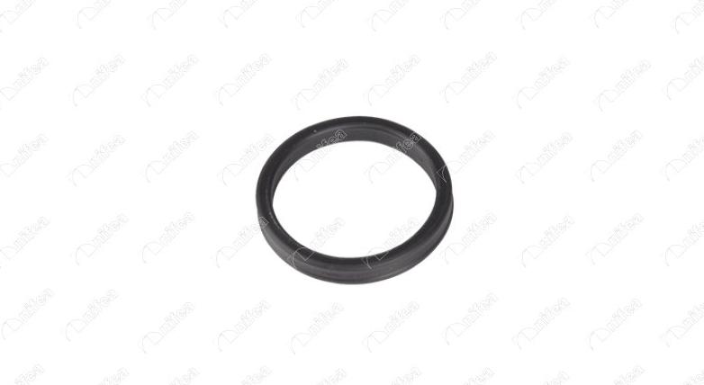 NIFEA 27590 - Seal, coolant pipe car-mod.net