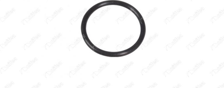 NIFEA 27591 - Seal, coolant pipe car-mod.net
