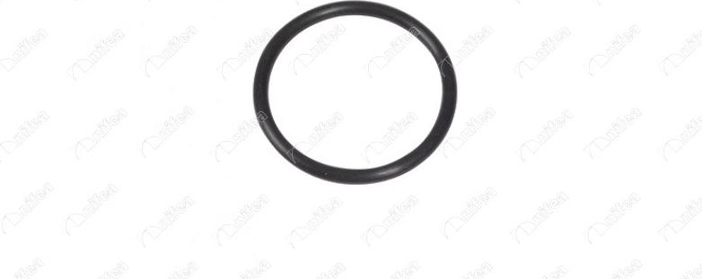 NIFEA 27325 - Seal, coolant pipe car-mod.net