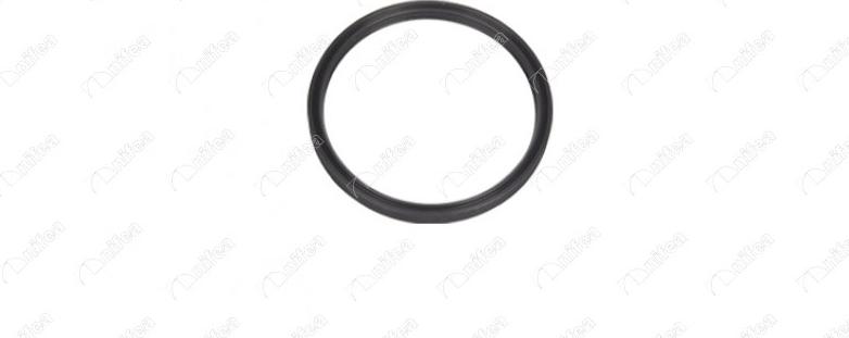 NIFEA 27788 - Seal Ring, turbo air hose car-mod.net