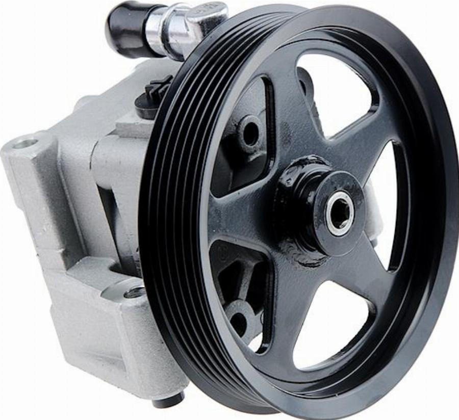 NTY SPW-LR-013 - Hydraulic Pump, steering system car-mod.net