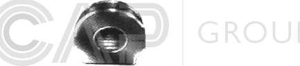 OCAP 1215038 - Bearing Bush, stabiliser car-mod.net