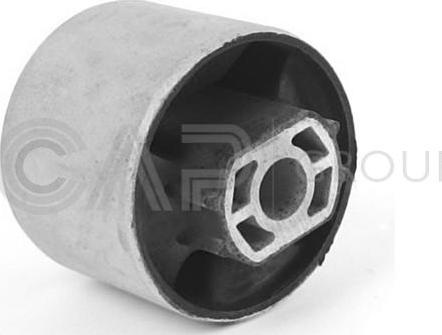 OCAP 1216070 - Bush of Control / Trailing Arm car-mod.net