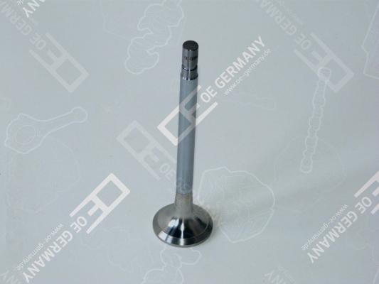 OE Germany 01 0520 300001 - Inlet Valve car-mod.net