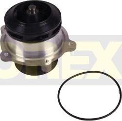 Orex 420031 - Water Pump car-mod.net