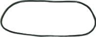 ORVIP 97039 - Seal, windscreen car-mod.net