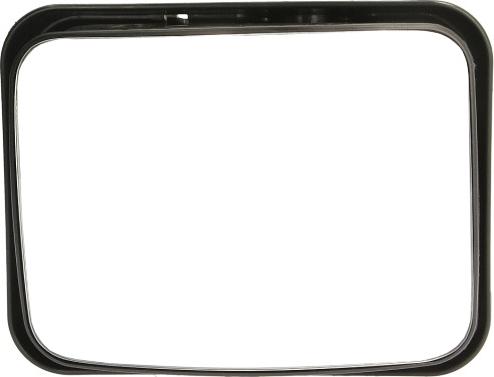 Pacol DAF-MR-025 - Outside Mirror car-mod.net