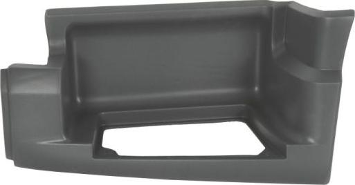 Pacol DAF-SP-020L - Foot Board car-mod.net