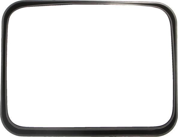 Pacol MAN-MR-008 - Outside Mirror car-mod.net