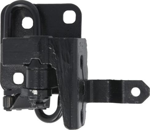 Pacol MER-DH-013L - Door Hinge car-mod.net