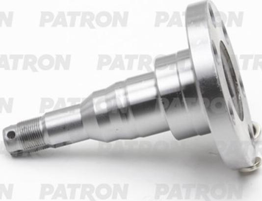 Patron PBK4566H - Steering Knuckle, wheel suspension car-mod.net