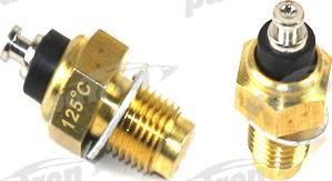 Patron PE13161 - Coolant temperature Sensor car-mod.net