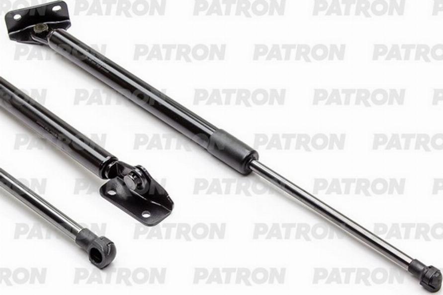CARRO 201108301 - Gas Spring, boot, cargo area car-mod.net