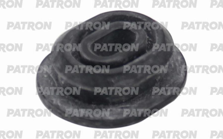 Patron PSE22143 - Mounting, radiator car-mod.net