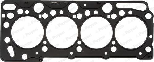 Payen AE5520 - Gasket, cylinder head car-mod.net