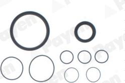 Payen EG8020 - Gasket Set, crank case car-mod.net