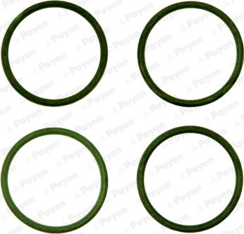 Payen HA5028 - Gasket Set, intake manifold car-mod.net