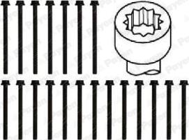 Payen HBS466 - Bolt Kit, cylinder head car-mod.net