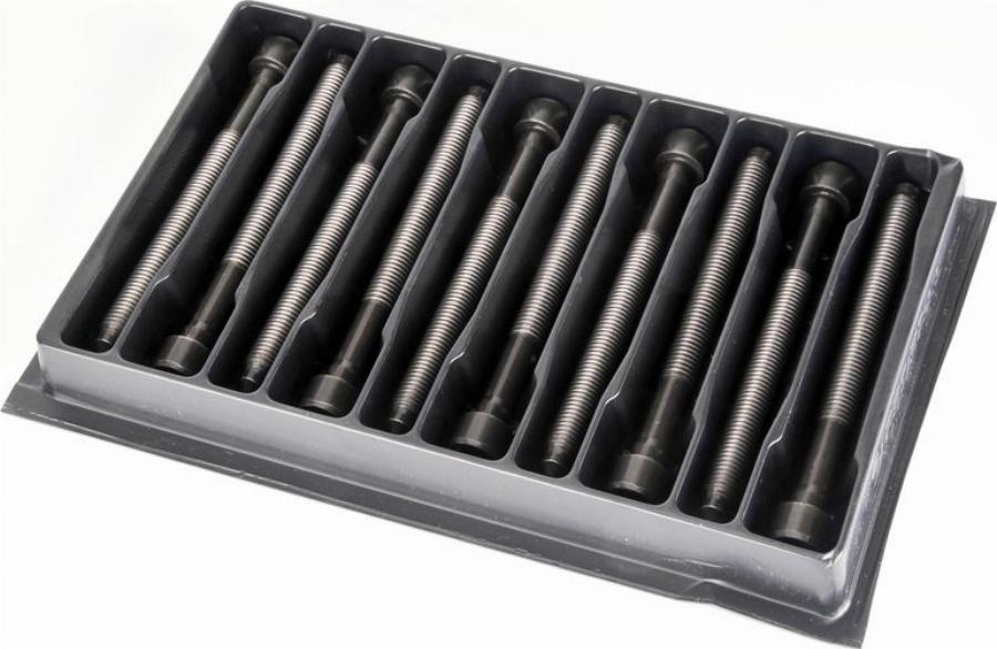 Payen HBS476 - Bolt Kit, cylinder head car-mod.net
