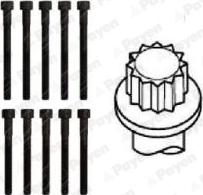 Payen HBS306 - Bolt Kit, cylinder head car-mod.net