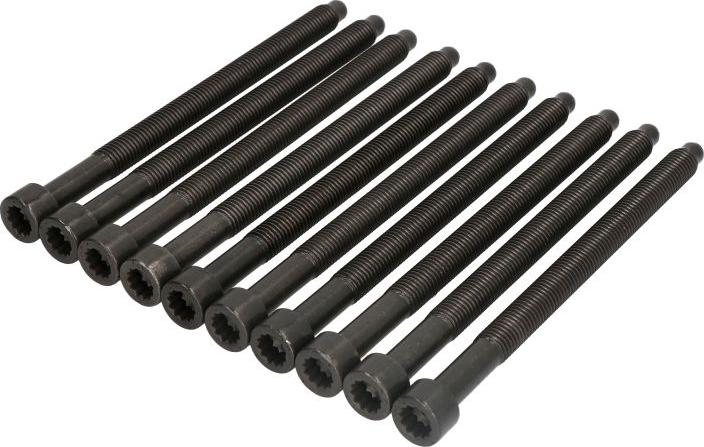 Payen HBS300 - Bolt Kit, cylinder head car-mod.net