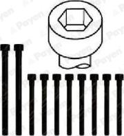 Payen HBS308 - Bolt Kit, cylinder head car-mod.net