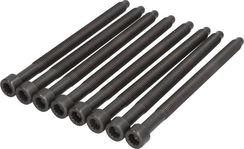 Payen HBS264 - Bolt Kit, cylinder head car-mod.net