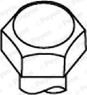 Payen HBS287 - Bolt Kit, cylinder head car-mod.net