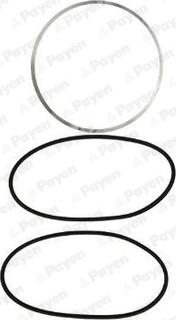 Payen HL5077 - O-Ring Set, cylinder sleeve car-mod.net