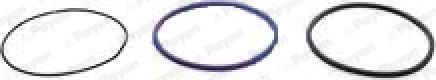 Payen HL5379 - O-Ring Set, cylinder sleeve car-mod.net