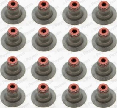 Payen HR5087 - Seal Set, valve stem car-mod.net