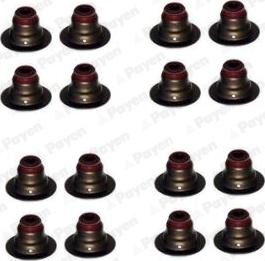 Payen HR5127 - Seal Set, valve stem car-mod.net