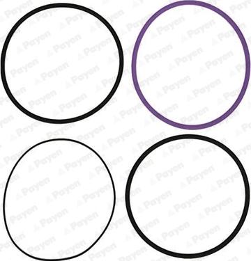 Payen HT002 - O-Ring Set, cylinder sleeve car-mod.net