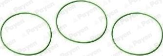 Payen HT015 - O-Ring Set, cylinder sleeve car-mod.net