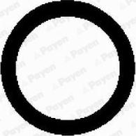 Payen JD597 - Gasket, intake manifold car-mod.net