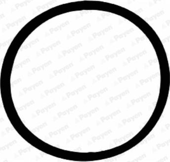 Payen JD6105 - Gasket, intake manifold car-mod.net