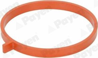 Payen JD6186 - Gasket, intake manifold car-mod.net